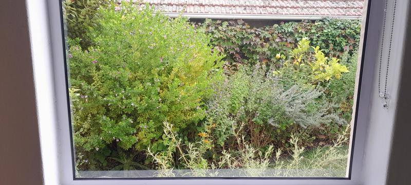To Let 1 Bedroom Property for Rent in Rondebosch Western Cape